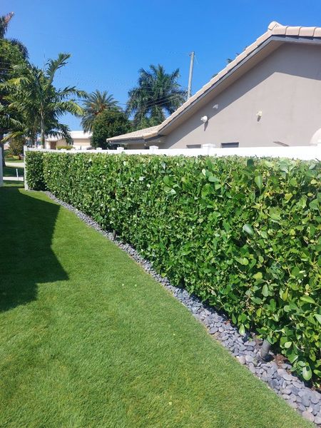 Edge and Lawn Fertilization Services in Boynton Beach, Florida.