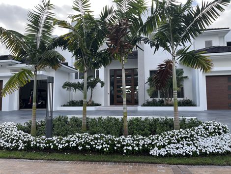 Front of house landscaping, design and install in Boynton Beach, Florida.