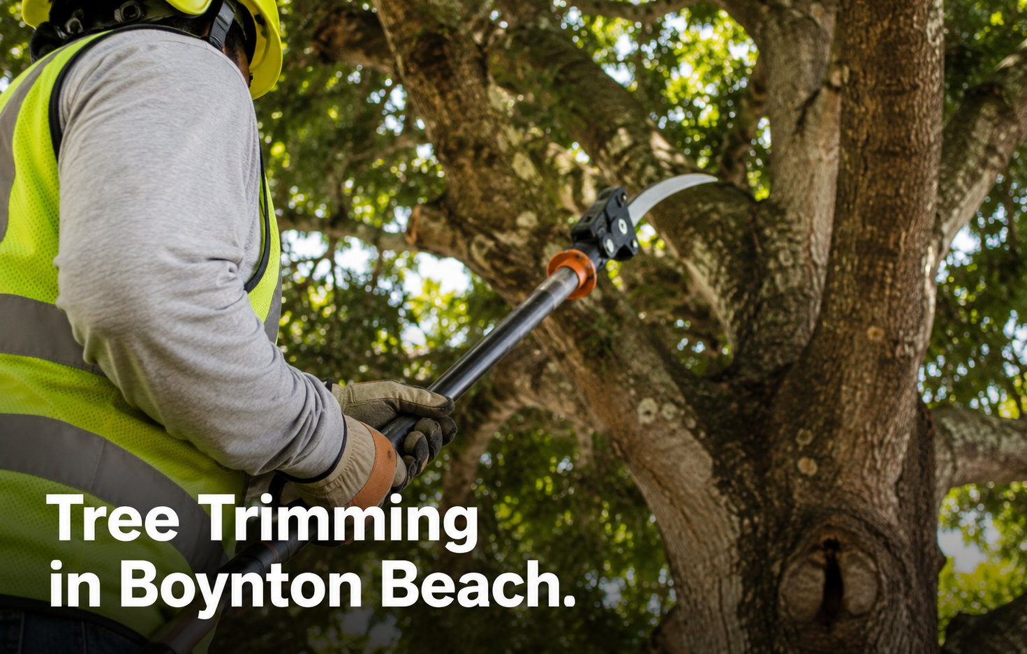 Professional arborist with pruning equipment near a mature tree canopy