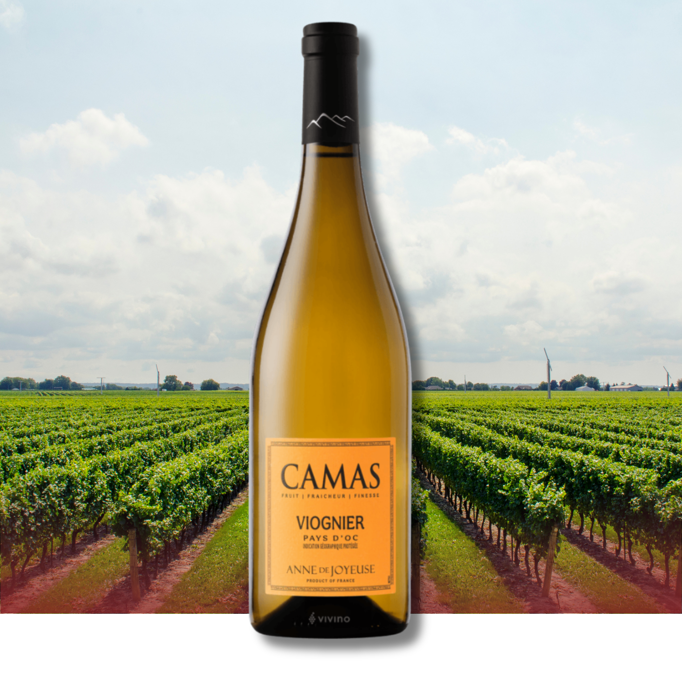 Een fles Cambil Bay Sauvignon Blanc voor een wijngaard, tegen een achtergrond van wolken.