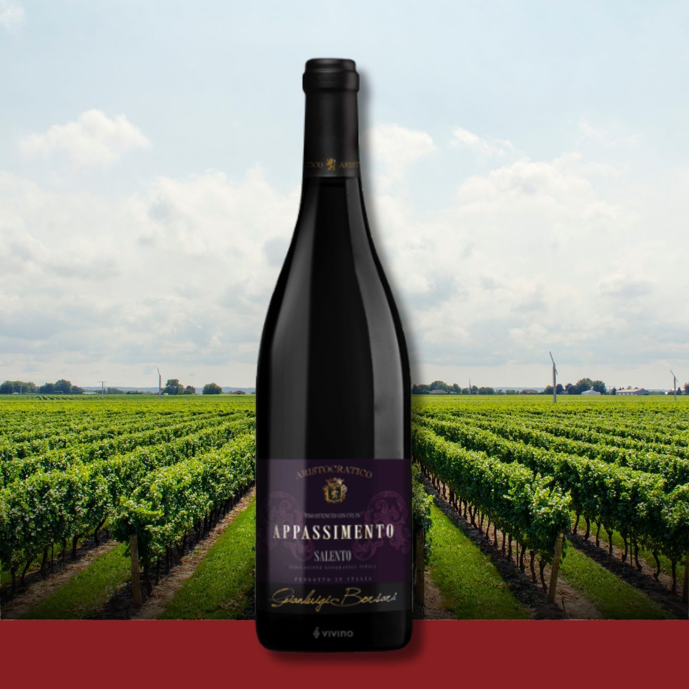 Fles "Appassimento"-wijn in een wijngaard, met groene rijen druiven onder een gedeeltelijk bewolkte hemel.