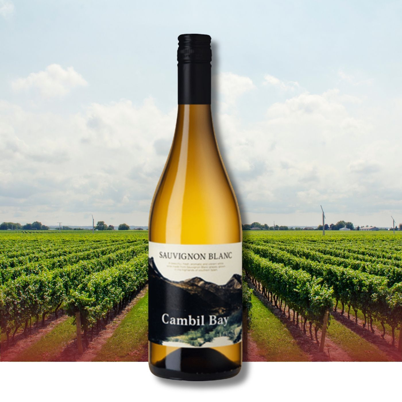 Een fles Cambil Bay Sauvignon Blanc voor een wijngaard, tegen een achtergrond van wolken.