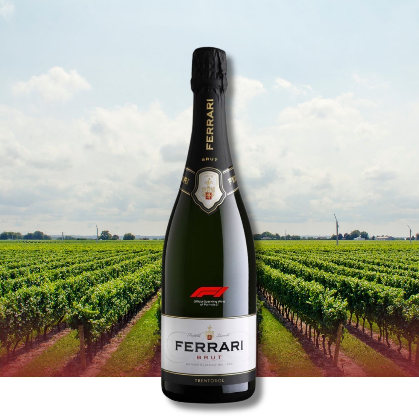 Een fles mousserende wijn Ferrari Brut voor een wijngaard onder een blauwe lucht.