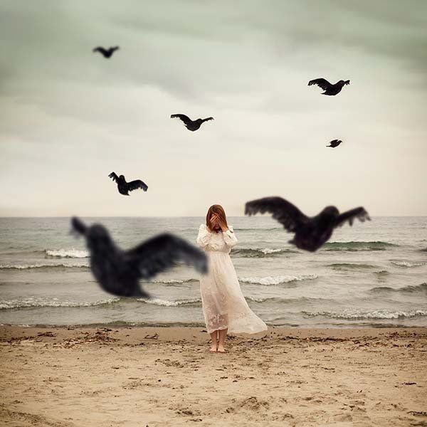 Image of Moore Images Contact