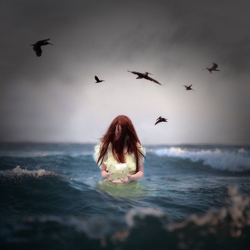 Image of Plenty of Fish in the Sea