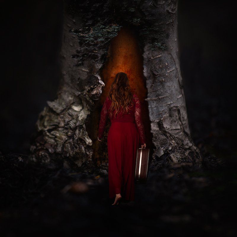 Image of Hibernation