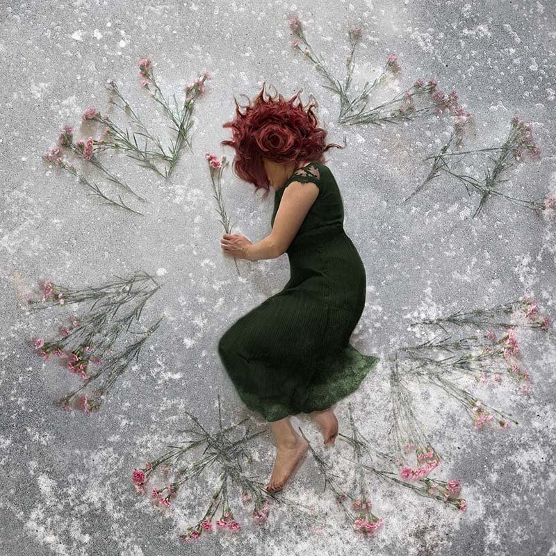 Image of Frozen in Time