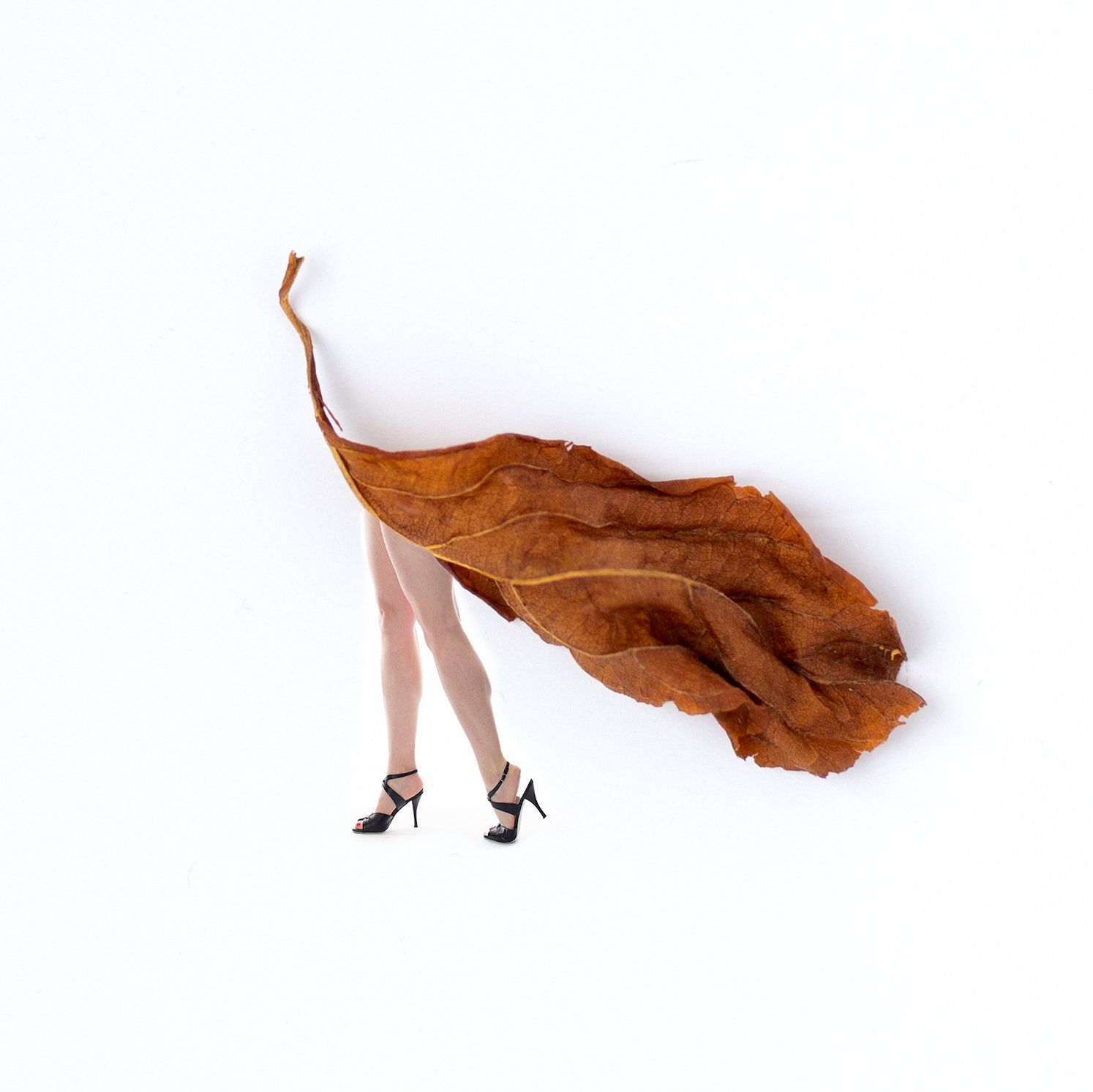 Image of Styled by Nature 1