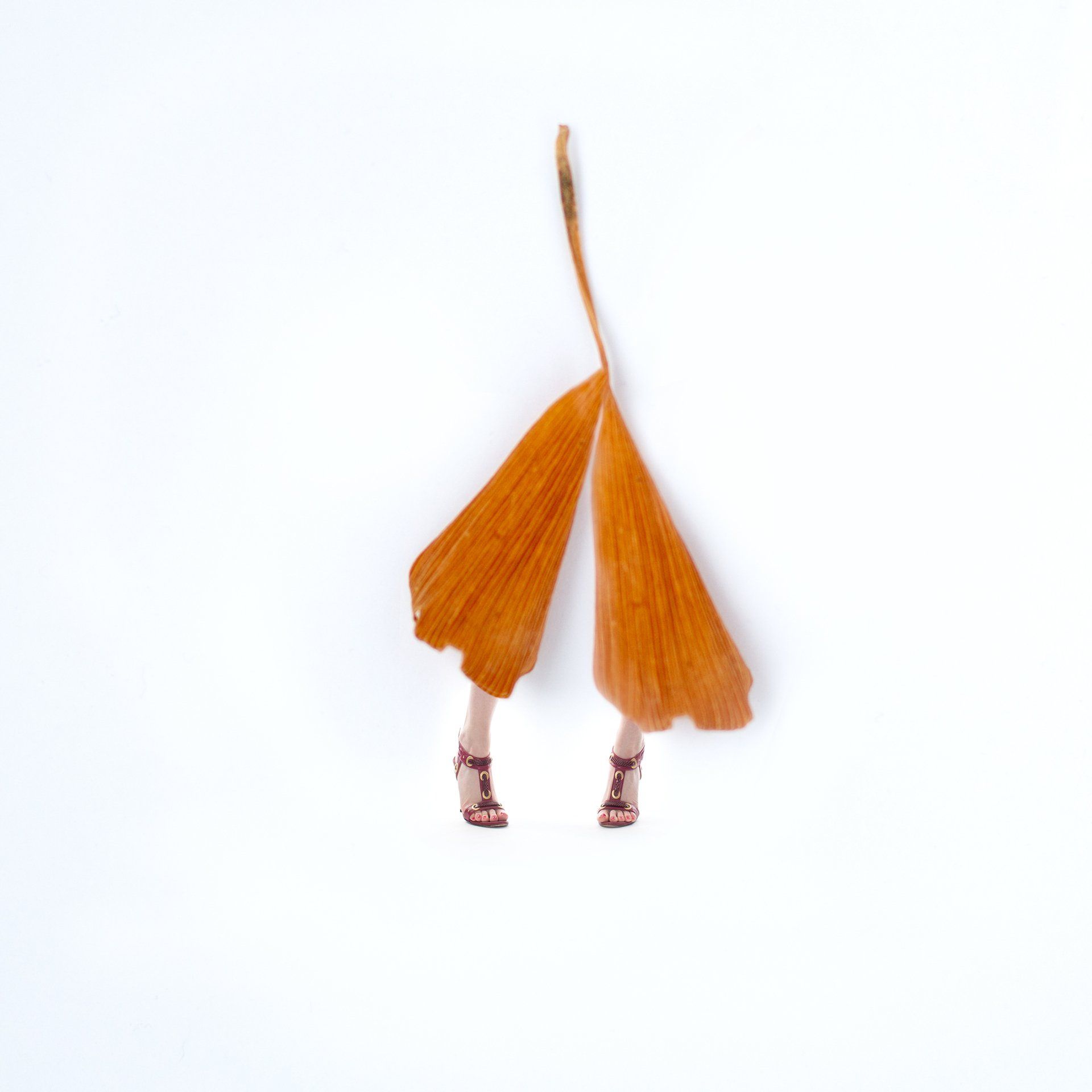 Image of Styled by Nature 2