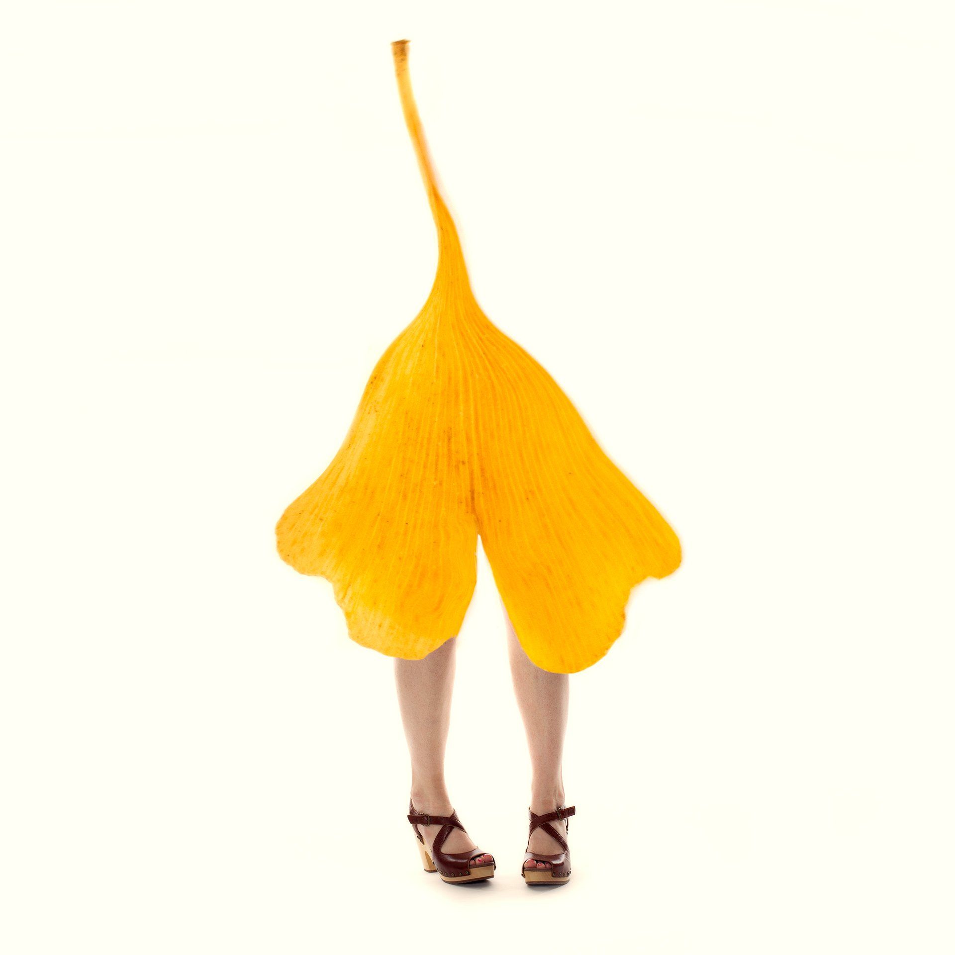 Image of Styled by Nature 8