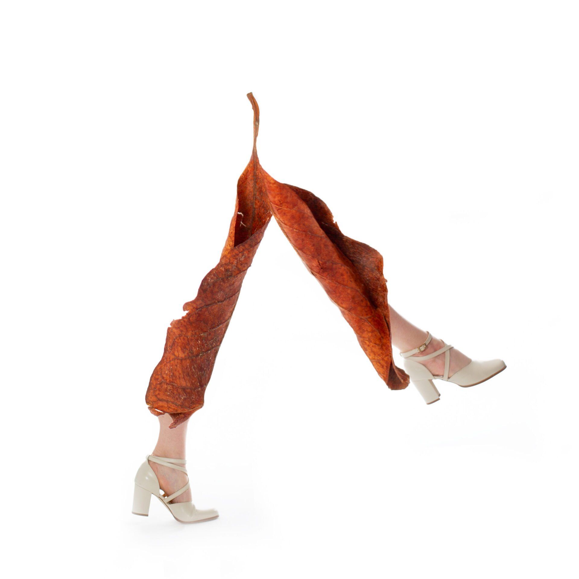 Image of Styled by Nature 9