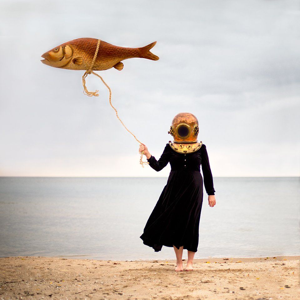 Image of Fish Out of Water