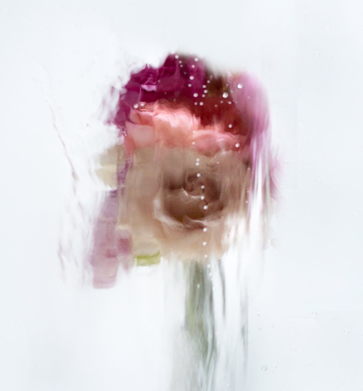 Image of A Rose by any Other Name 11