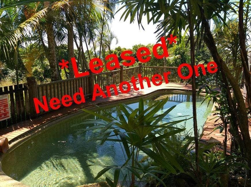 Another Property Leased — Mission Beach Property Management in Wongaling Beach, QLD