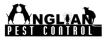 Anglian Pest Control company logo