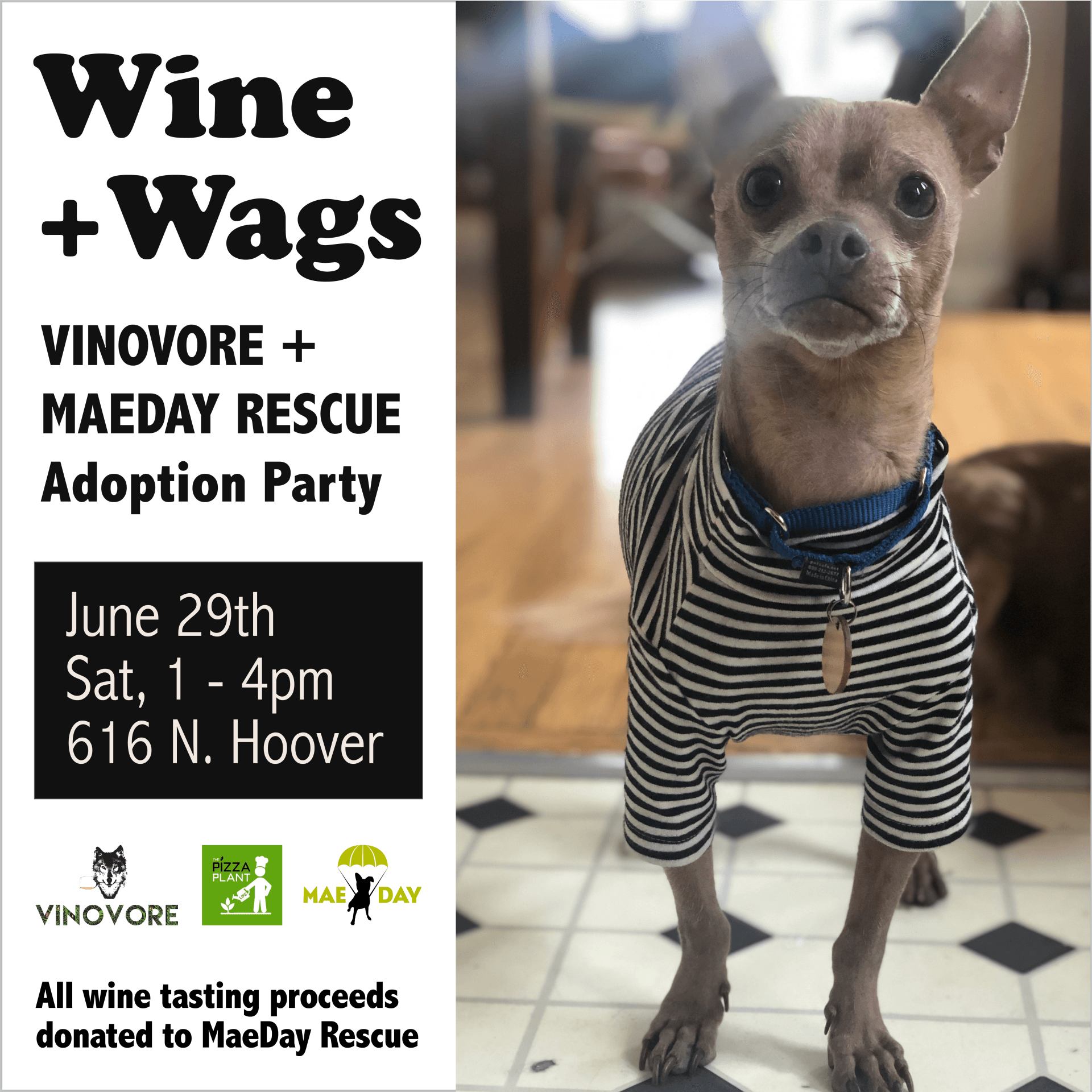 MaeDay adoption event announcement