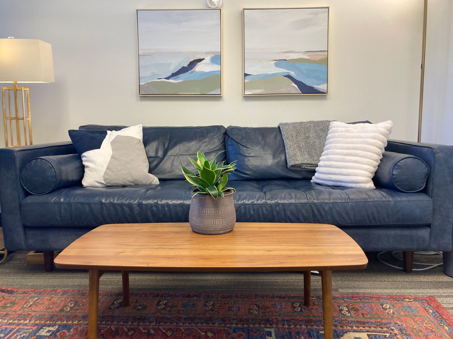 Blue couch with pillows and art above, wooden table with plant, rug on floor.