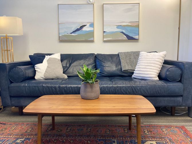 Blue couch with pillows and art above, wooden table with plant, rug on floor.