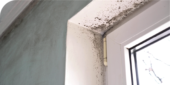 An attic with aluminum foil covering the ceiling