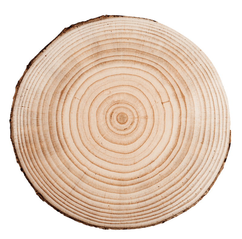 Baumstamm Jahresringe