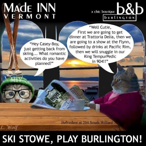 Two cats are sitting at a table with speech bubbles that say made inn vermont