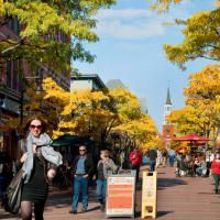 A woman is walking down a busy city street.