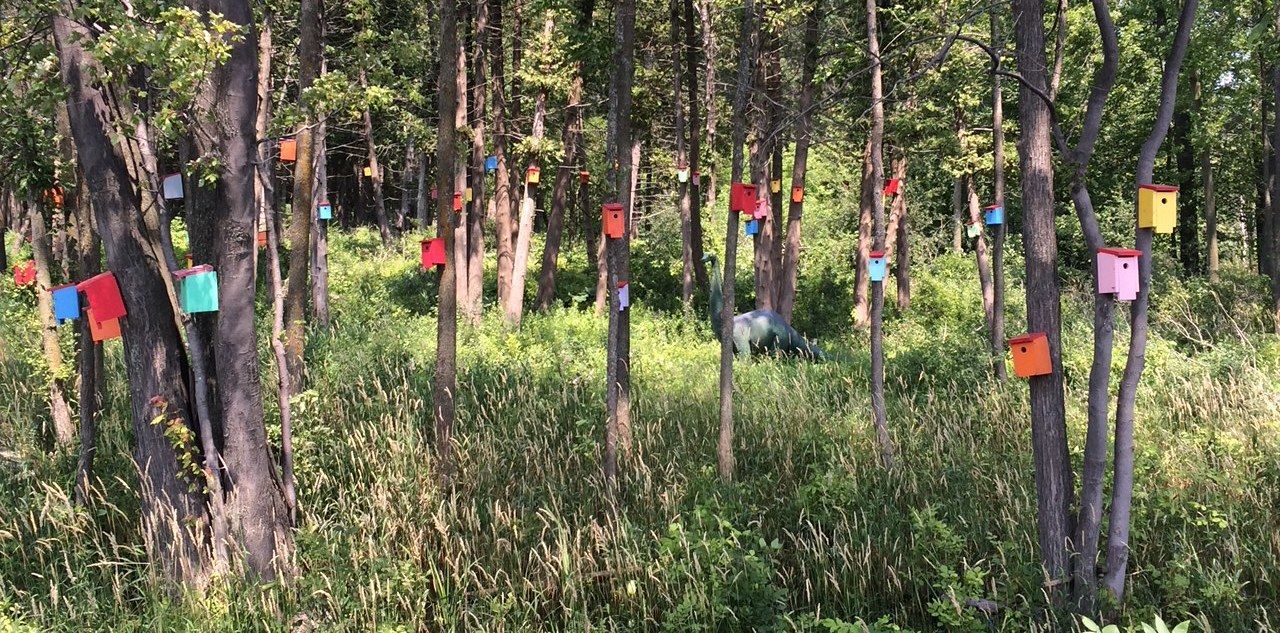 A forest filled with lots of trees and flags hanging from them.
