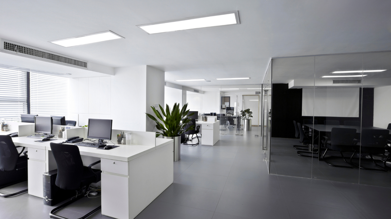 Office Fitout