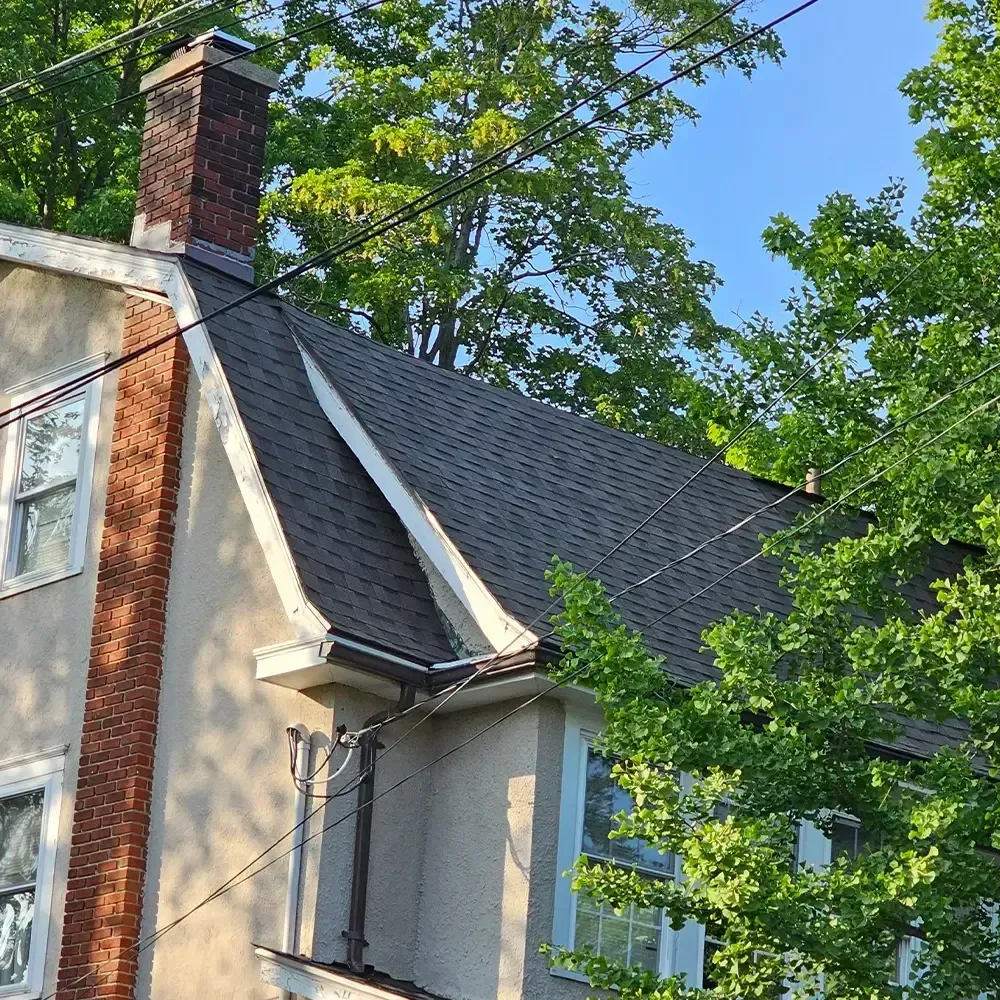 A stucco house with a brick chimney and grey roof shingles, partially obscured by green tree leaves against a blue sky.