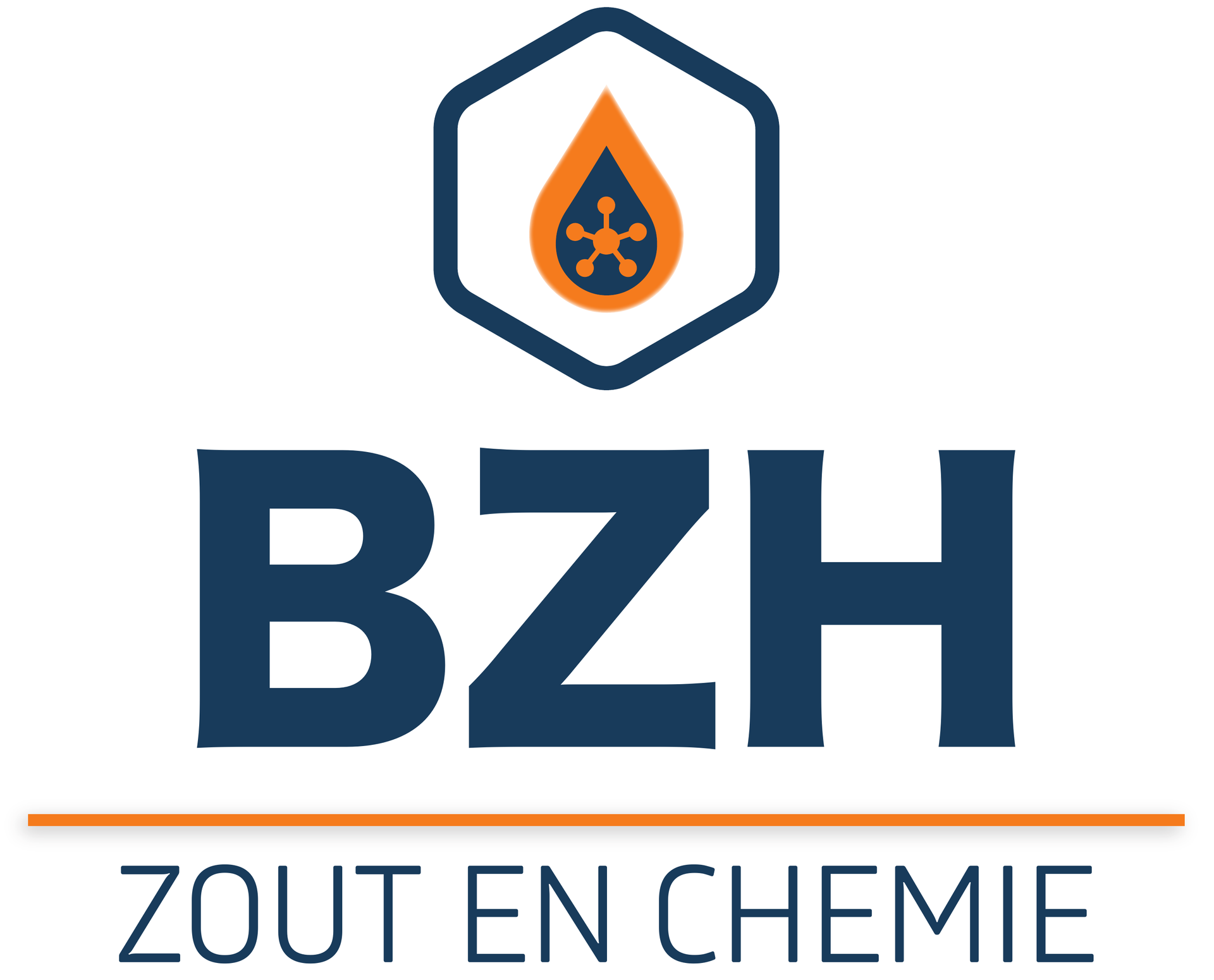 Logo for BZH Zout en Chemie: blue hexagon with orange droplet, blue letters