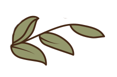 leaves icon