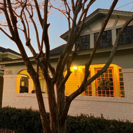 A white brick house with a tree in front of it