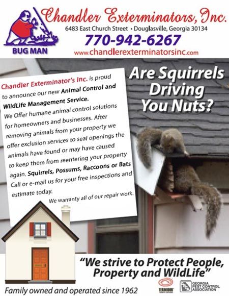 Chandler Exterminators, Inc — Pest Control in Douglasville, GA