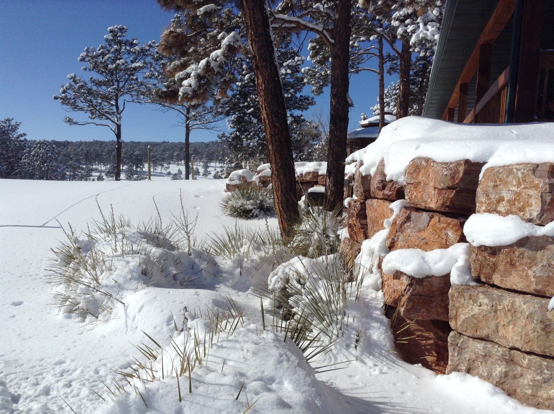 Hot Springs SD mild winters