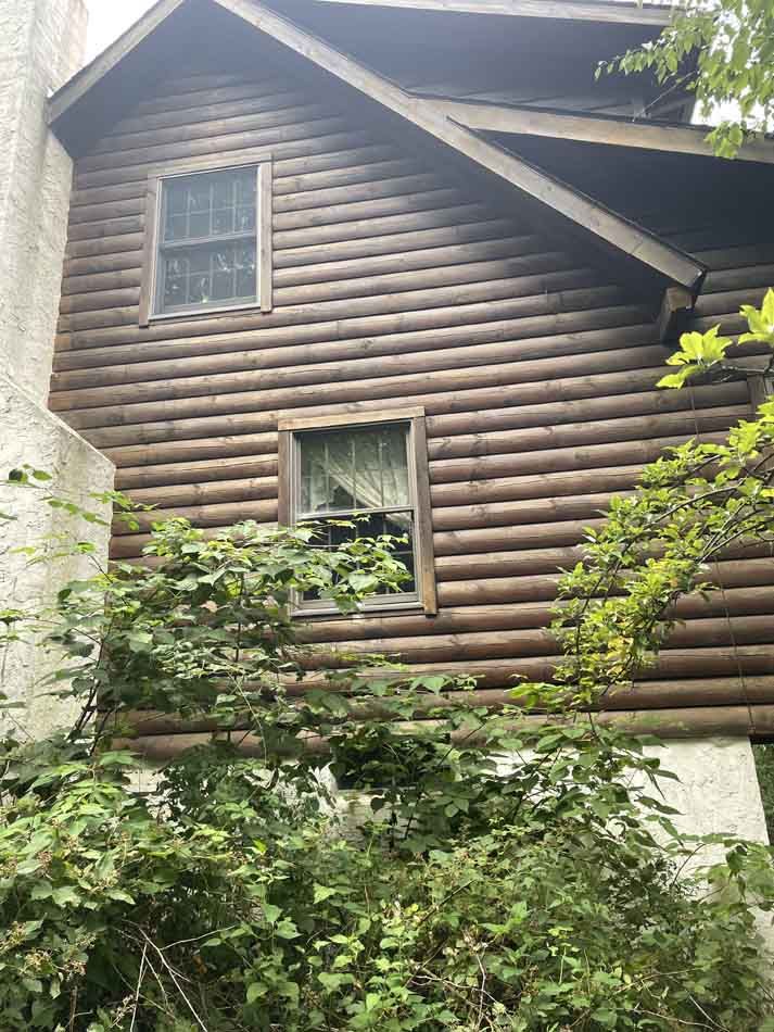 Log cabin exterior with two windows and overgrown greenery.