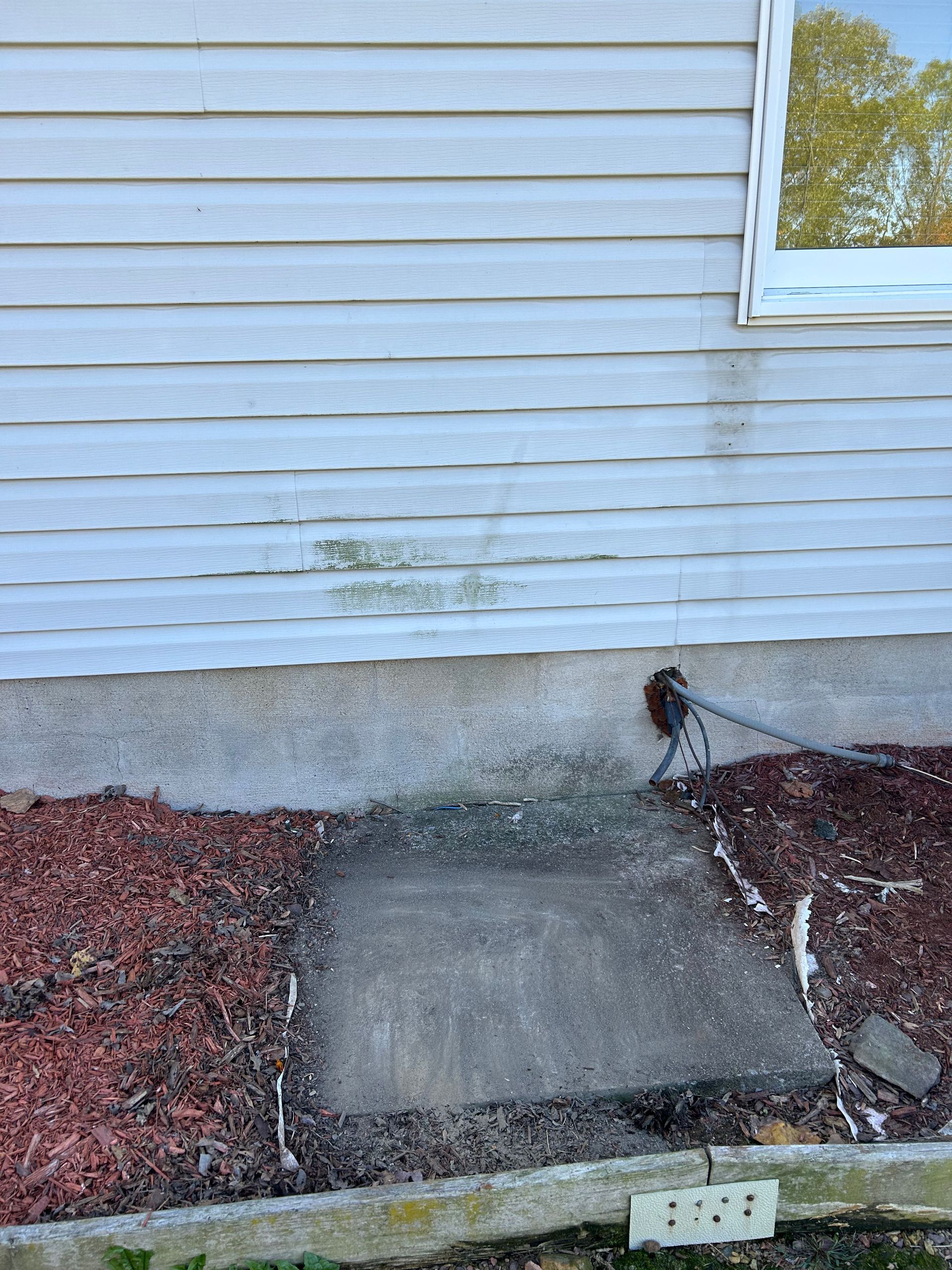 Gray siding with green algae stains, a concrete pad, and red mulch near a house foundation.