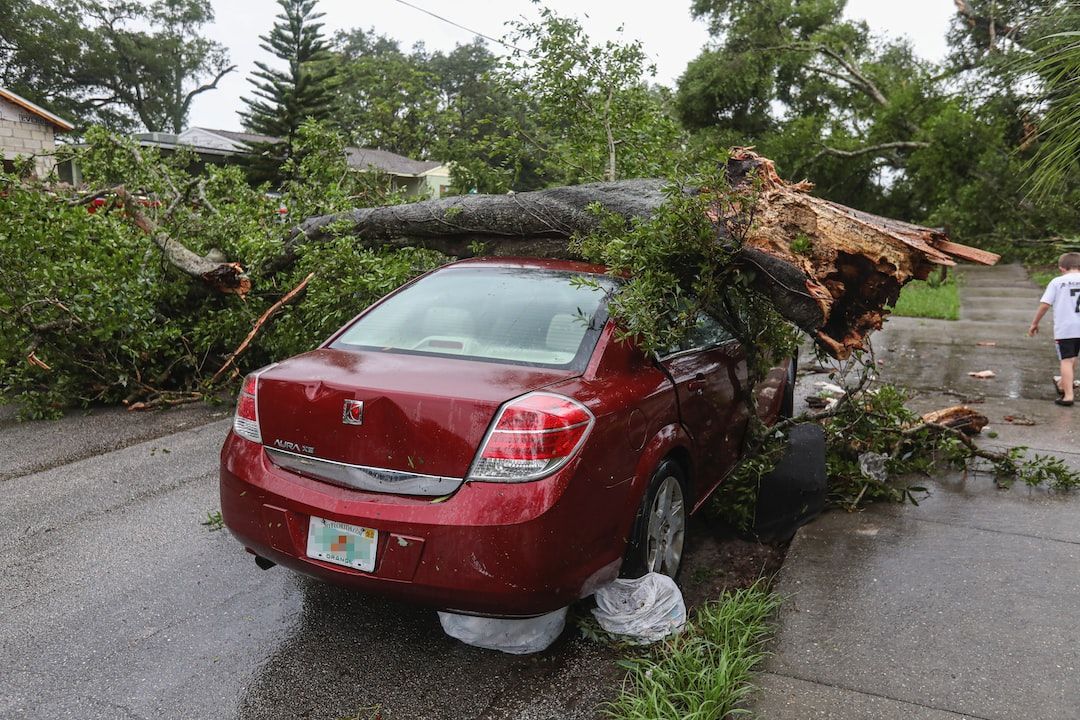 Red car crushed by a fallen tree; rain on the street, person walks away.