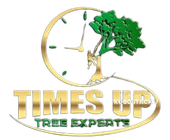 Time's Up Tree Experts LLC Time's Up Tree Experts LLC