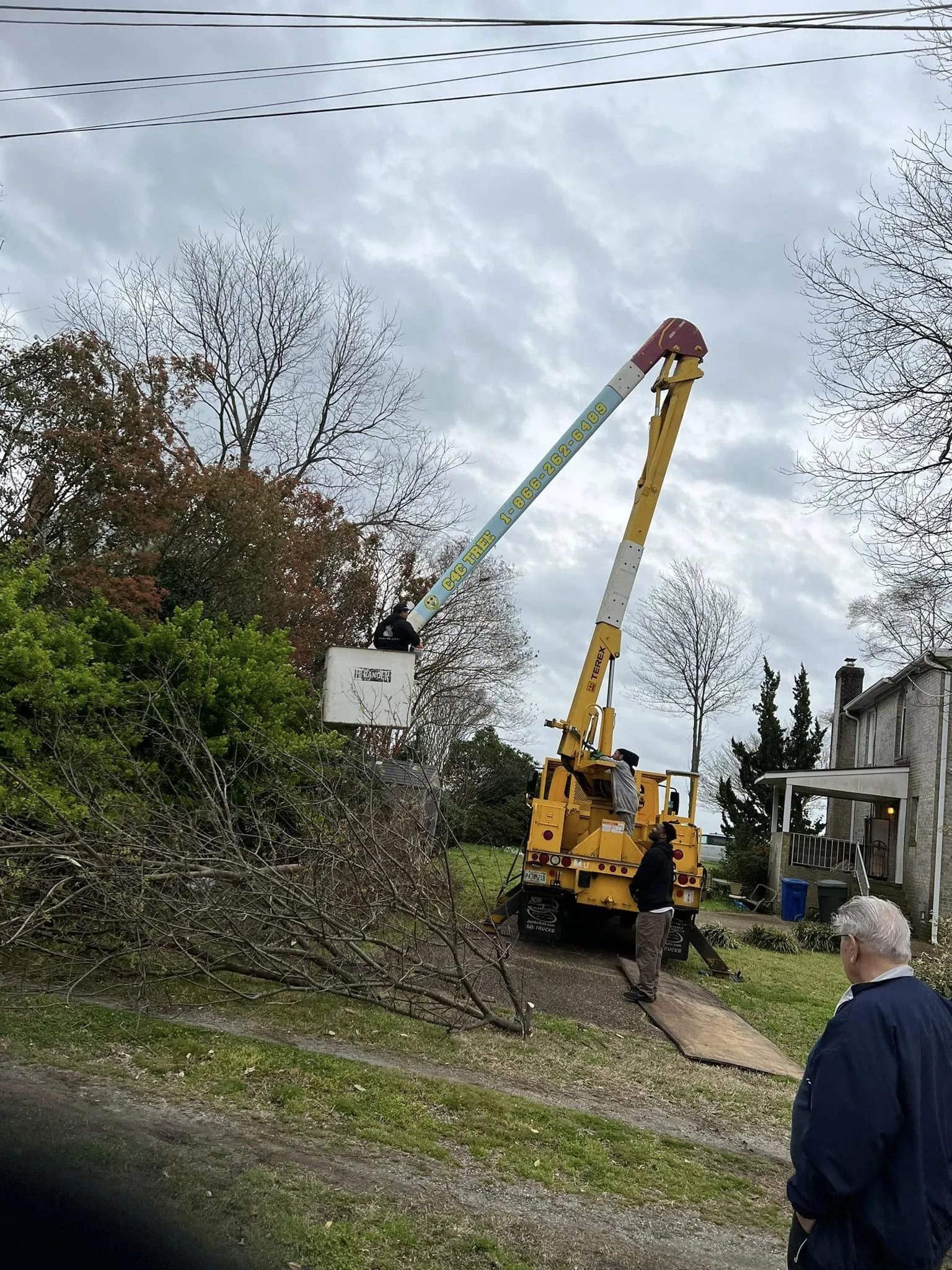 A utility truck with an extended boom and bucket operates near a tree, as a person stands nearby in an outdoor area.
