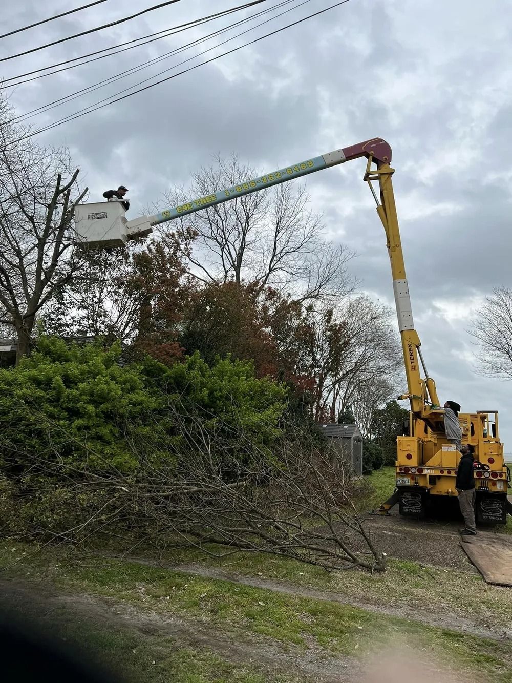 A yellow boom truck with a worker in the bucket trimming branches near utility lines under a cloudy sky.