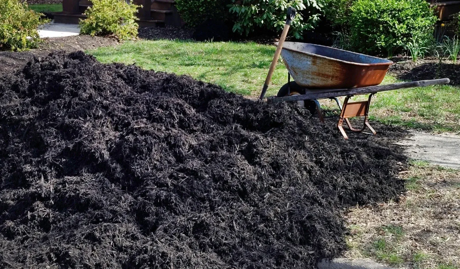 A large pile of dark brown mulch sits on a grassy lawn next to an empty, weathered wheelbarrow with a wooden shovel.
