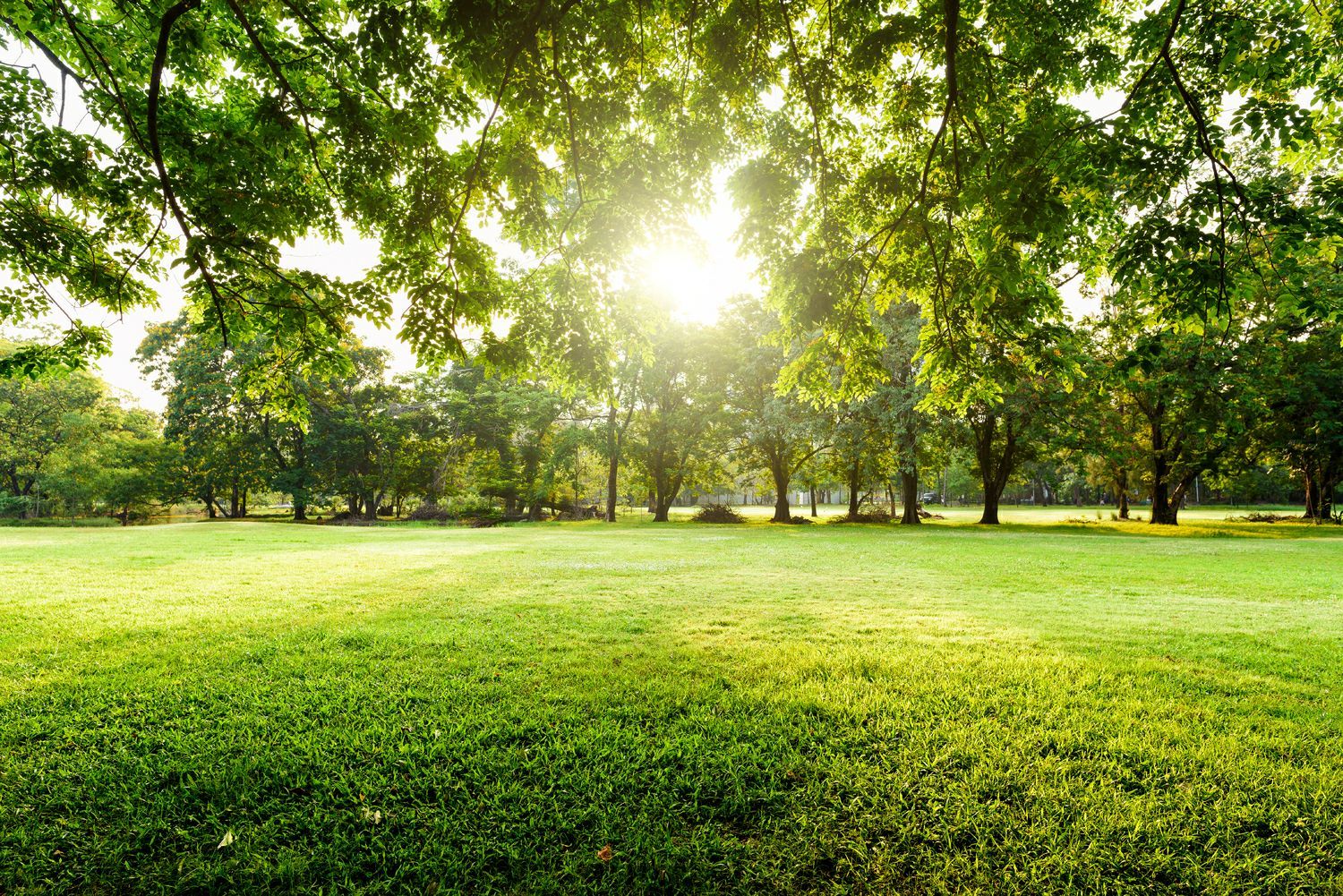 Environmental Health in Greensboro, NC