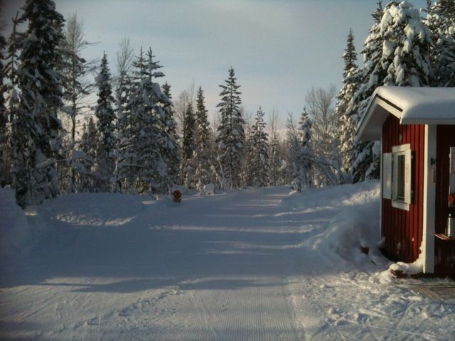 GoXski - Information about cross country skiing in Levi, Finland