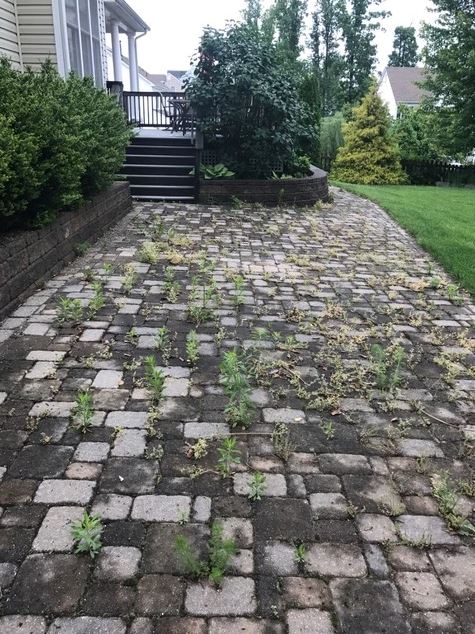 before paver hardscape cleaning services