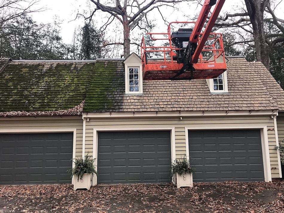House with algae during roof restoration