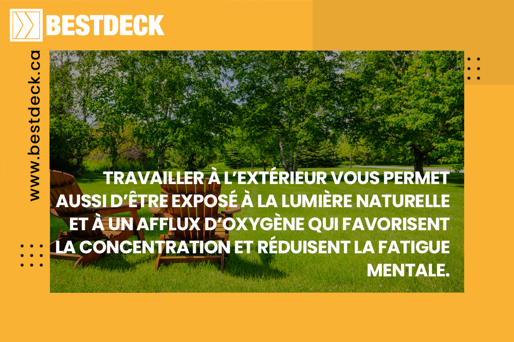 Vue sur une cour arrière avec plusieurs arbres et des chaises