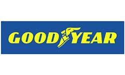 Goodyear logo: yellow text and winged foot graphic on a blue rectangle.