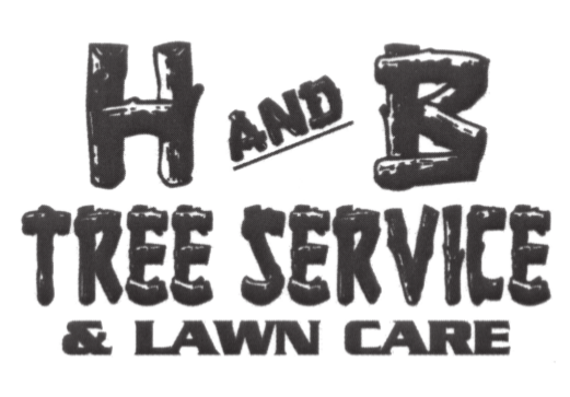 H and B Tree Service & Lawn Care