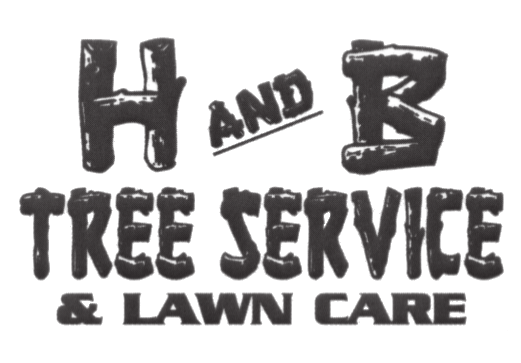 H and B Tree Service & Lawn Care