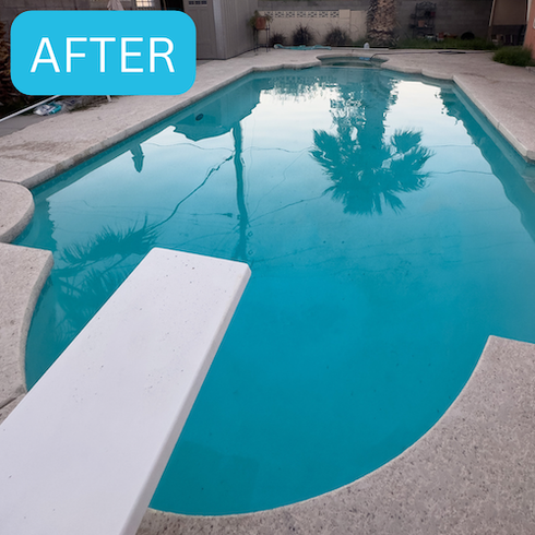 green pool cleaning service